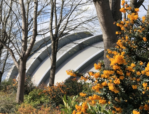 Master Gardens of Scotland