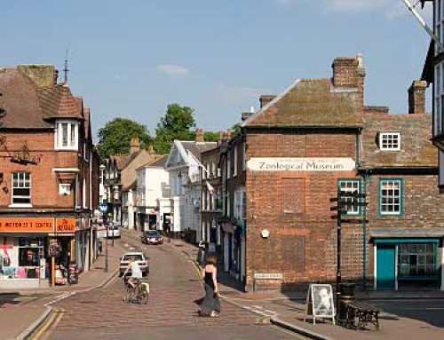 England in Mid-Summer A Family Adventure
